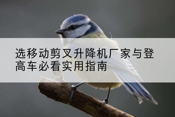 泾县电动升降机厂家-选移动剪叉升降机厂家与登高车必看实用指南