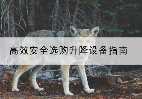 泾县升降货梯厂家推荐-*安全选购升降设备指南