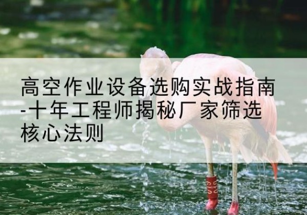 泾县剪叉式升降机厂家-高空作业设备选购实战指南-十年工程师揭秘厂家筛选核心法则